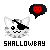 ShallowBay91's avatar