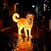 ShamarG's avatar