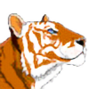 shameri-tigress's avatar