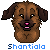 Shantiala's avatar