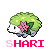 ShariBear's avatar