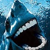SharkRags's avatar