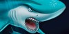 SharksKorner's avatar