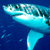 SharksoftheWorld's avatar