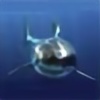 sharkstudio's avatar