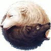 Shatoveray's avatar