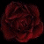 shatteredroses's avatar