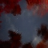shchsiennx's avatar