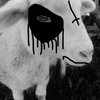 SheepWithCorpsePaint's avatar