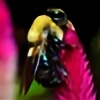 Shell-Bee2007's avatar