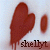 shellyt's avatar