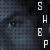 Shep-'s avatar