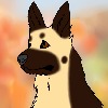 shepthewardog's avatar