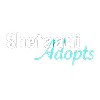 Shetaani's avatar