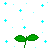 Shining-tree's avatar