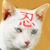 shinjyu's avatar