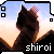 shiroi-ryu's avatar