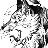 ShiroiiTsubasa's avatar