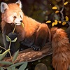 Shmeadow's avatar
