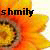 shmily112's avatar