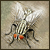 shoe-fly's avatar