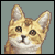 Shoe-is-Matts-Cat's avatar