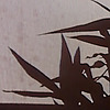 Shomee's avatar