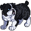 shortybull's avatar