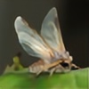 ShreddieKirin's avatar