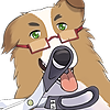 Shunnkai's avatar