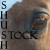 shush-stock's avatar