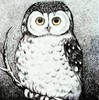 SiberianOwl's avatar