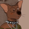 sick-Kitt's avatar
