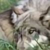 Siewolfin's avatar