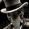 Silentglyph's avatar