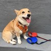 silkychicken's avatar
