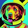 silver4444444's avatar