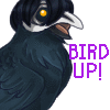 SilverBirb's avatar