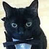 SilverNitris's avatar