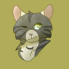 Silverwolffoxpaws's avatar
