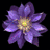 Simple5imon's avatar