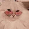 Sinalaa's avatar