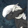 SiniyHusky's avatar