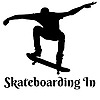 SkateboardingIn's avatar