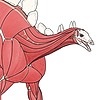 Sketchy-raptor's avatar
