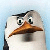 Skipper-the-penguin's avatar
