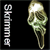 sKrImmEr's avatar