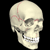 skull666388's avatar