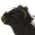 skunkz's avatar
