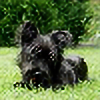 SkyeTerriers's avatar